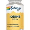Solaray Iodine (as Potassium Iodine) 500 mcg Kuwait سولارى ايودين (بوتاسيوم ايودين) 500 ميكروجرام لتحسين الايض و صحة الغدة الدرقية الكويت